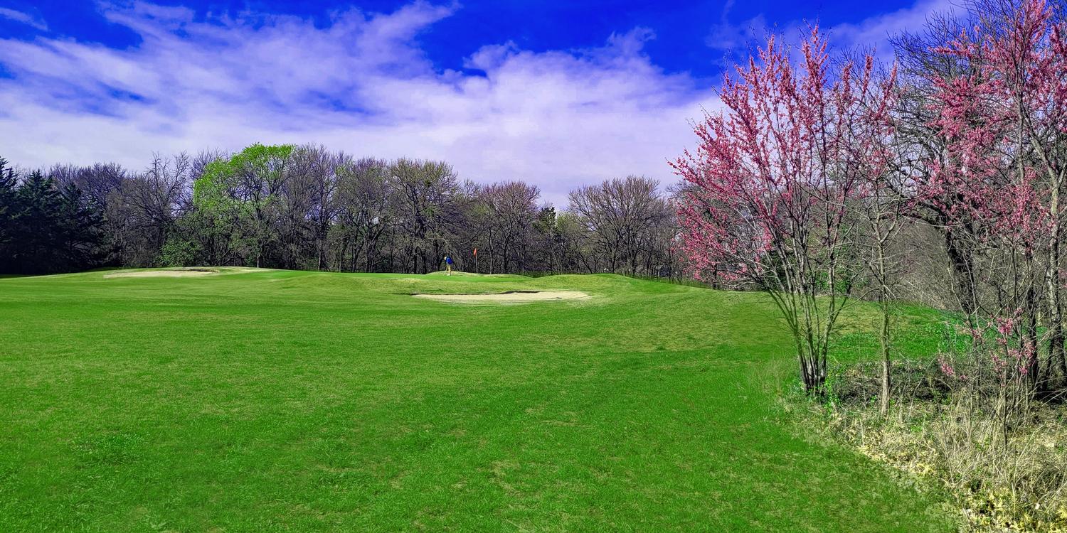 Tanglewood Resort By David Theoret