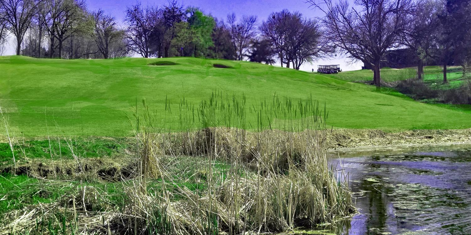 Tanglewood Resort By David Theoret