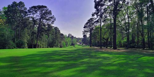 golf article