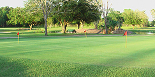 Alvin Golf & Country Club