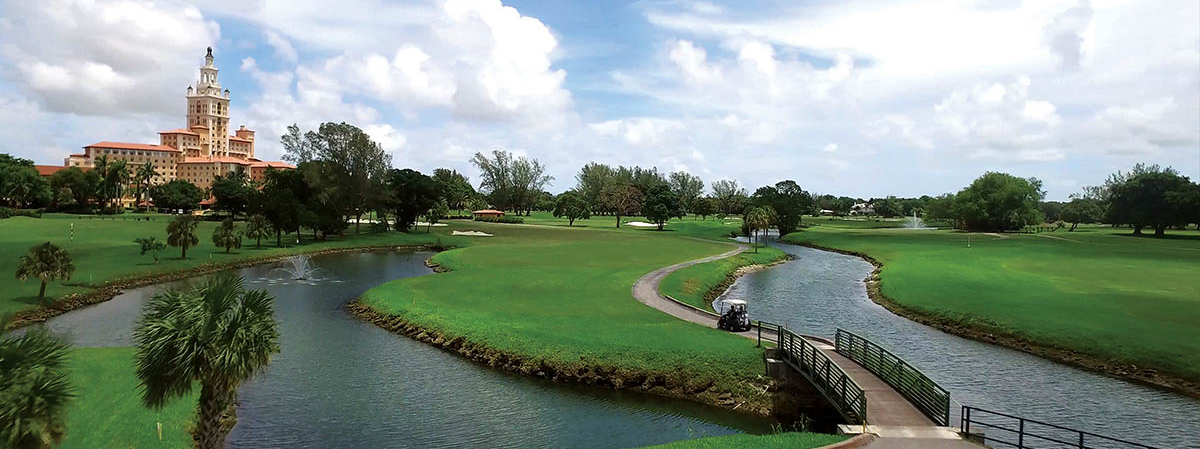 The Biltmore