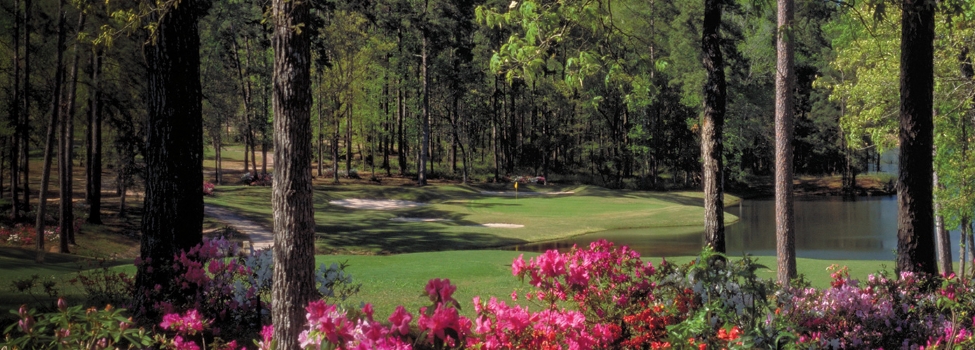 Bluejack National Golf Outing