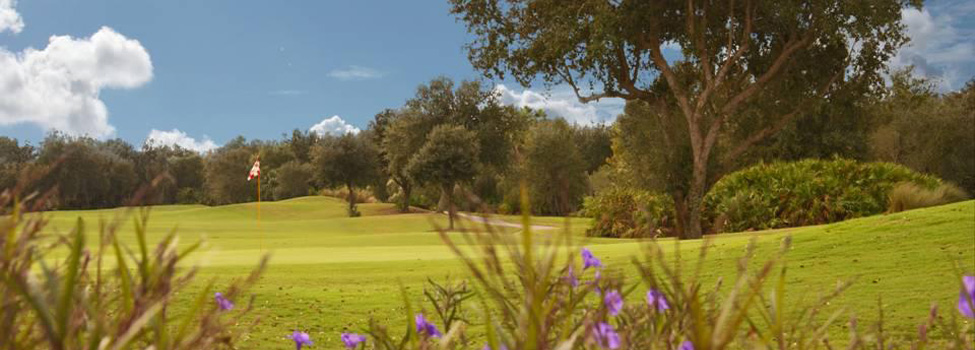 StoneGate Golf Club At Solivita